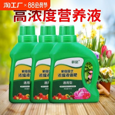 绿色衣襟 从电子屏幕到植物坑，当代年轻人的网购格园艺风潮