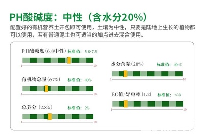 育苗基质搭配指南 泥炭土、椰糠与缓释肥在家庭园艺中的应用